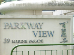 Parkway View (D15), Apartment #492054391